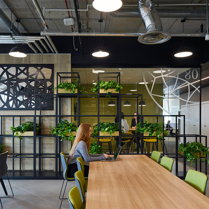 LOULDY Marketing Agency